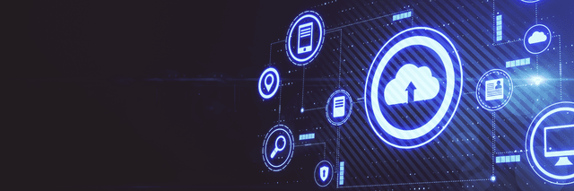 Application Insight Zero Trust Network Access