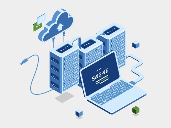 graphic of SWG-VE laptop connected to servers