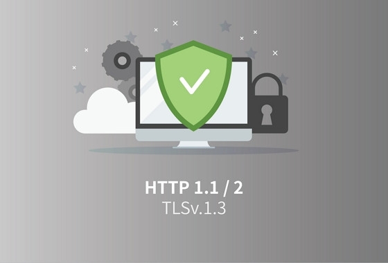 방어 아이콘과 자물쇠 PC 아래 http2 tls1.3 글씨